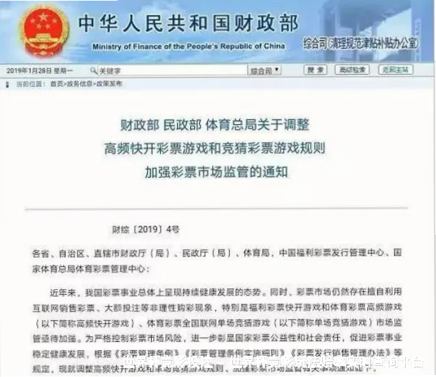 我们的故事：从草根到专业