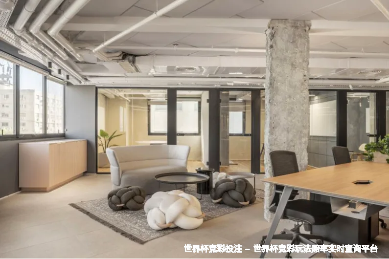 未来愿景：成为有社会价值的决策伙伴